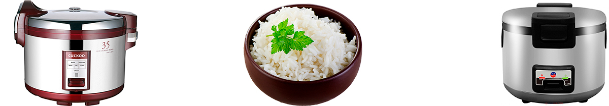 Rice2.jpg