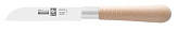 Нож для овощей ICEL Artesa 23400.AT32000.080