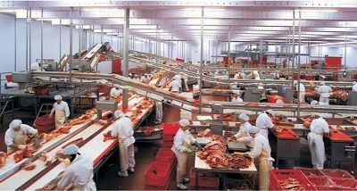 мясорубки промышленные электрические 